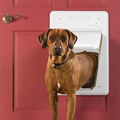 smart door pet door