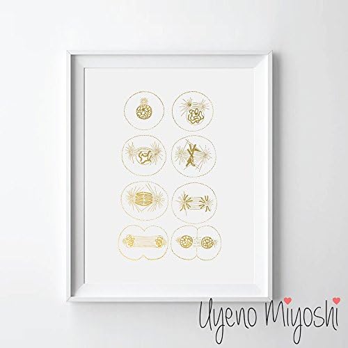 Cell Division Mitosis Gold Foil Art Print Biology Lover Gift (08" x 10" UNFRAMED)