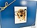 Jumbo Dog Gift Box Basket for Favorite Canine Fur Baby Perfect for Dog Lover Dog Birthday Christmas Furry Pet Friend Prime Treats Toys