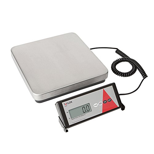 Taylor TE150 Digital Receiving Scale 150LB