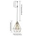 SEEBLEN Plug in Pendant Light Gold Hanging Light Fixture with 15 Ft Plug in Cord On/Off Switch Vintage Metal Cage Pendant Light Fixtures