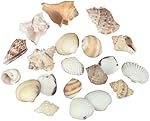 Sea Shells In Net Bag - Natural