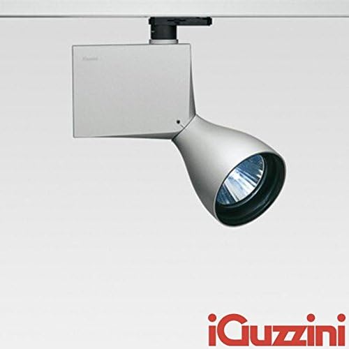 iGuzzini Proyector orientable 6408 gris negro incluye lámpara ...