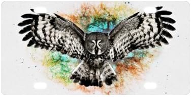 Owl License Plate Cover for Car (new)