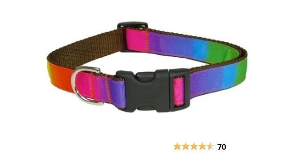 dog collar rainbow