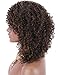 Kalyss Brown Highlights Afro Kinky Curly Wigs for Black Women Premium Synthetic Hair Wig Curved Part Natural Looking Hair Wigs for Women Daily Wear Hairpiece
