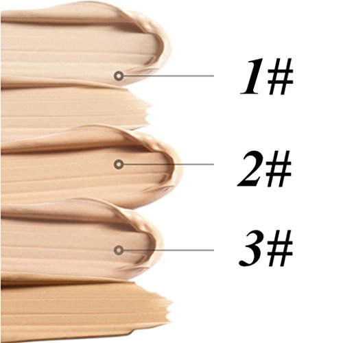 Correcting Concealer BB Cream, Professional Makeup Face Foundation Highlight Contour Light Natrual Moisturizing Waterproof (B)