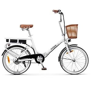 Nilox, E-Bike J1, elektrische fiets met ondersteund pedaal, borstelloze high-speed motor, 250 W, tot 25 km/u, 36 V, 6 Ah…