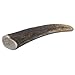 Prairie Dog | Elk Antler Chew | Naturally Shed - Hand Harvested in North America | Medium