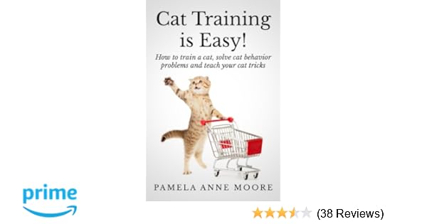 Amazon Com Cat Training Is Easy How To Train A Cat Solve Cat