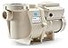 Pentair 011018 IntelliFlo Variable Speed High Performance Pool Pump, 3 Horsepower, 230 Volt, 1 Phase - Energy Star Certified