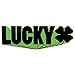 LUCKY Crew Complete Pro Stunt Scooter, Graphite/Green