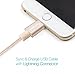 Tecland 3Pack 3FT 6FT 10FT Lightning Cable Nylon Braided Lightning to USB Charging Cord Charger for iPhone 6s,6, 6plus,6s plus, iPhone 5s 5 5c SE, iPad & iPod (gold)