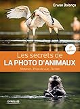 Les secrets de la photo d'animaux : Matériel, prise de vue, terrain by