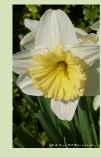 Daffodil Flower 2016 Weekly Calendar: 2016 week by week calendar with a cover photo of a bright yellow daffodil