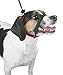 Sporn Medium Dog Head Halter for Dogs, Black Dog Stop Pulling Leash with Thick Muzzle Harness No Pull Head Collar for Dogs, Anti Pulling Collar for Comfort Face Harness