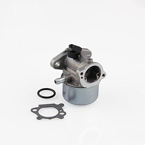 Ecosin Carburetor for BRIGGS & STRATTON 799868 498254 497347 497314 498170 Carb 50-657