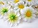 (24) Silk White Gerbera Daisy Flower Heads , Gerber Daisies 1.75