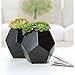 MyGift Set of 2 Realistic Artificial Succulent Plants in Matte Black Modern Geometric Ceramic Pots