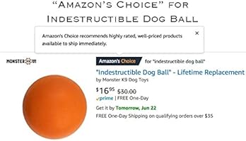 monster k9 indestructible dog ball