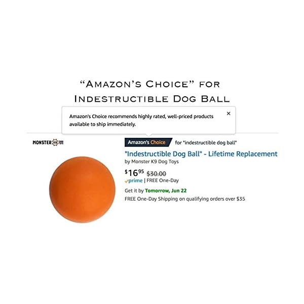 indestructible dog toys lifetime guarantee