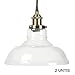 2-Pack Pendant Light Hanging Glass Ceiling Mounted Chandelier Fixture, SHINE HAI Modern Industrial Edison Vintage Style