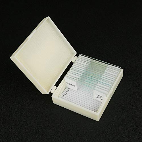 3 Prepared+Apologia+Specifically+Specimens+DIY+SCIENCE