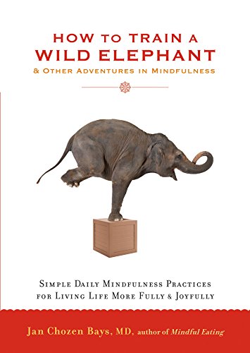 Cover of How to Train a Wild Elephant