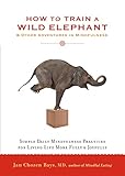 How to Train a Wild Elephant: And Other Adventures in Mindfulness