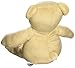 Healthy Baby Asthma and Allergy Buddy Bear Stuffed Animal, 9.5