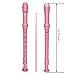 Kasteco 2 Pack German Style 8 Hole-3 Piece Descant Soprano Recorders with Cleaning Rod, Black Storage Bag, ABS Material, 2 Colors, Blue and Pink
