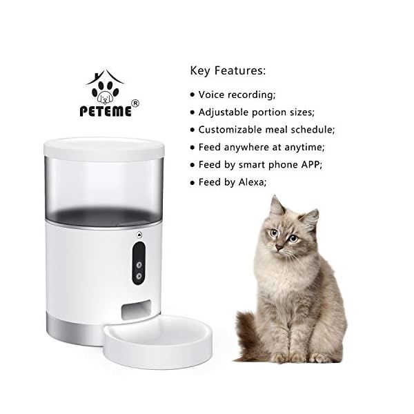 alexa cat feeder