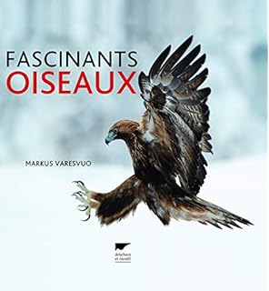 Amazonfr Oiseaux Instants Magiques Markus Varesvuo - 