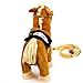 Toysery Kids Walking Pony Walk Along Toy Stuffed Plush Pony Toy, Realistic Walking Actions with Horse Sounds and Music (Battery Operated) Colors May Vary