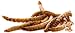 5Lb Chubby Dried Mealworms High Protein Treat for Chickens, Ducks & Birds
