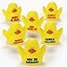 12 Motivational Rubber Ducks