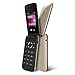 BLU Diva Flex - Flip phone - unlocked Dual Sim - Gold