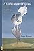 A World beyond Politics?: A Defense of the Nation-State (New French Thought Series)