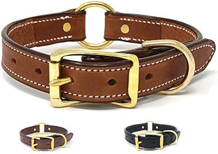 leather center ring dog collar