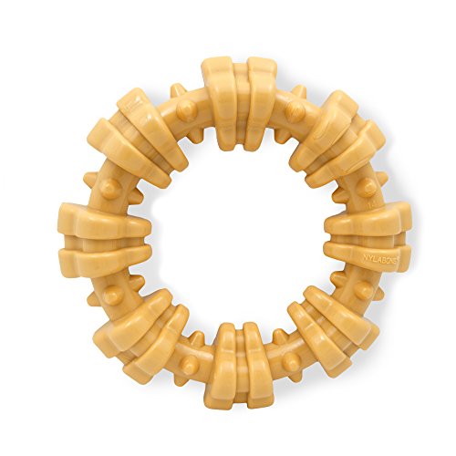 Nylabone DuraChew Ring Dog Toy