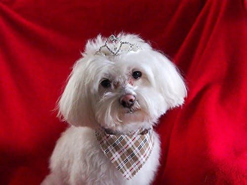 Heartstone Dog Pet Rhinestone Crystal Tiara crown Comb Pet3a