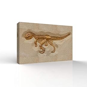 Canvas Wall Art - Animal Fossil Office Poster Prints - Modern Home Art Stretched and Framed Ready to Hang - 12x18 inches