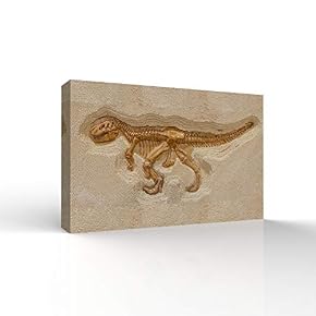 Animal Fossil Office Poster