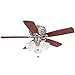Hampton Bay Clarkston 44 In. Brushed Nickel Ceiling Fan with Light Kit