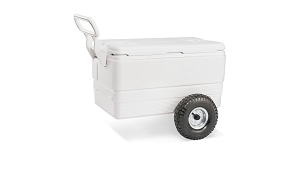 100 gallon ice chest