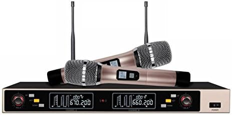Boly Audio BL-9000 2017 New UHF Dual Wireless Cordless Microphone mic System w Auto Mute