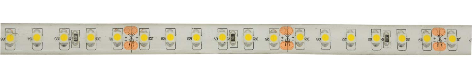 Lyyt | Professional 24V high Output LED Tape | Natural White | 5M Reel โ image 1