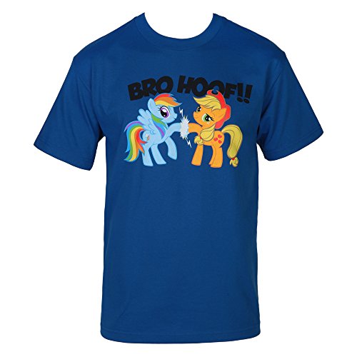 My little pony friendship is magic rainbow dash and app…