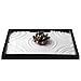 ICNBUYS Zen Garden with Lotus Set with Free Rake and Pushing Sand Pen Base Tray Dimensions 10 x 0.4 x 7 inches