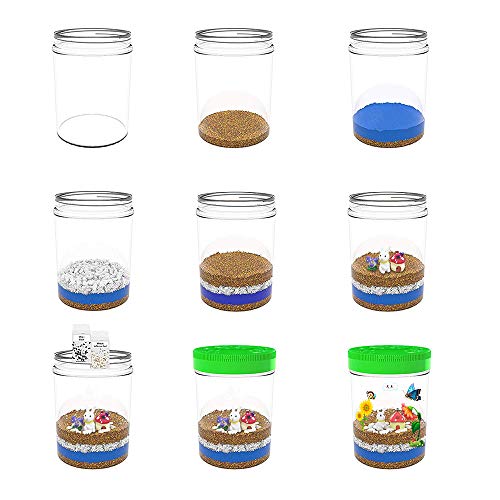 3 Terrarium+Light+up+Birthday+Educational+Miniature